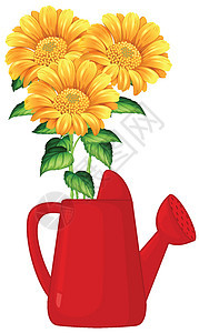 白色背景上红色喷壶卡通风格的向日葵图片