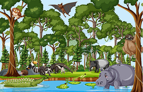 森林场景中的野生动物卡通人物树懒热带哺乳动物环境蝙蝠动物园插图风景生态河马图片