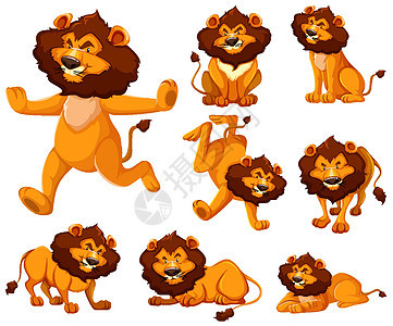 一套狮子卡通人物喜悦跑步情感野生动物团体荒野生物动物国王艺术图片