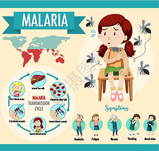 疟疾传播周期和症状信息图表全世界标识疾病呕吐蚊子框架病人昆虫漏洞发烧图片