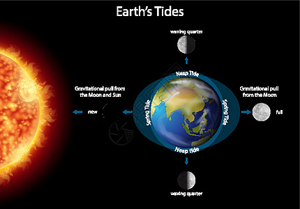 显示地球潮汐的图表插图满月绘画宇宙月亮剪贴天文学家星系卡通片太阳图片
