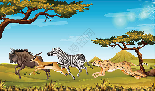 野生动物奔跑的大草原环境太阳猎豹荒野植物生物动物艺术跑步角马图片