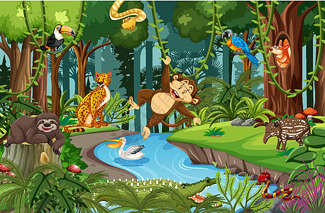 森林场景中的野生动物卡通人物插图生物动物园动物卡通片风景生态冒险热带毛皮图片