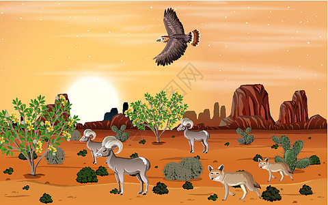 白天场景中的野生沙漠景观农场喇叭农业环境插图干旱羊毛狐狸荒野旅行图片