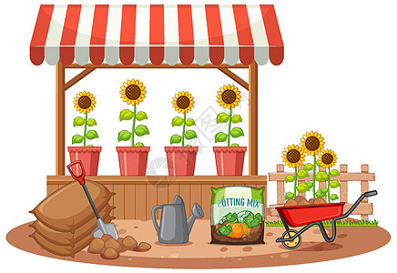 在 sho 的有机向日葵夹子插图绘画肥料店铺艺术销售花瓣卡通片植物图片