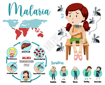 疟疾传播周期和症状信息图表疾病动物寄生虫自行车安全漏洞昆虫病人插图横幅图片