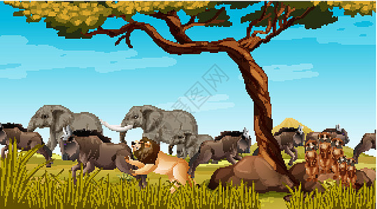 森林场景中的非洲野生动物群卡通片食肉生物天空捕食者生活哺乳动物动物群动物荒野图片