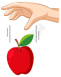 手放下一个苹果进行重力实验图片