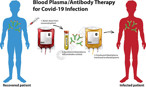 Covid19 感染的血浆抗体治疗信息图i图表解剖学微生物学框架实验室插图指示牌症状生物致命图片