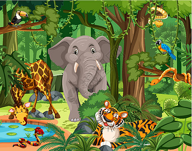 森林场景中的野生动物卡通人物猫科动物哺乳动物插图旅行丛林老虎捕食者动物园动物学插画
