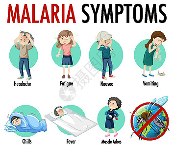 疟疾症状信息图表标识发烧蚊子横幅插图指示牌全世界卡通片动物昆虫图片