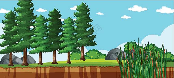 多松自然公园场景中的空白景观收藏石头环境卡通片岩石插图绘画蓝色天空面具图片