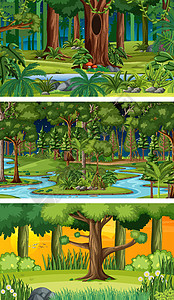 森林三个不同性质的横向场景橙子风景月亮团体自然夹子横幅全景插图日落插画
