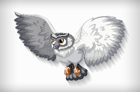 在白色背景上飞翔的灰色猫头鹰绘画夹子羽毛环境生物卡通片动物园雪鸮翅膀插图图片