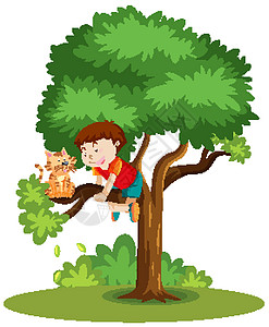 一个男孩爬起来帮助一只卡在树卡通隔离物上的猫图片