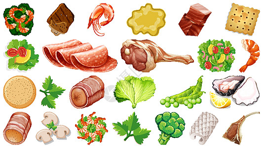 一套新鲜食品配料艺术沙拉收藏夹子海鲜绘画蔬菜插图团体卡通片图片