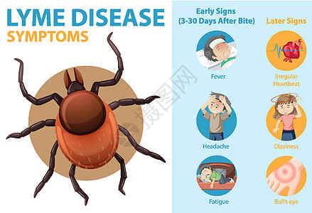 莱姆病症状信息信息图表绘画病人发烧卡通片教育疲倦指示牌感染头晕危险图片