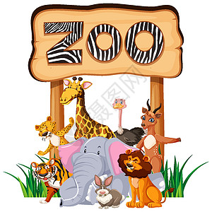 在入口处的动物园动物 sig入口艺术插图卡通片动物群荒野横幅绘画指示牌哺乳动物图片