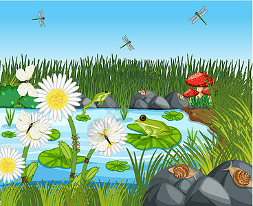 池塘里有许多青蛙和蜻蜓昆虫风景丛林森林环境卡通片生态场景液体插图图片