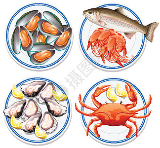 平台上食物的鸟瞰图化合物艺术插图团体绘画卡通片生物海鲜盘子动物图片