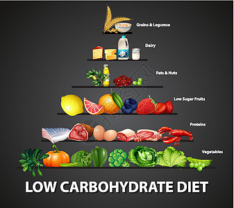 饮食金字塔低碳水化合物饮食图牛奶信息碳水面包动物学习方案备择酸奶图表设计图片