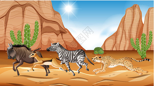 野生动物奔跑的大草原太阳绘画动物猎豹植物赛车环境生物哺乳动物活动图片