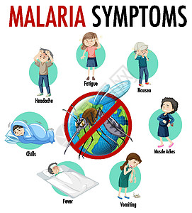 疟疾症状信息图表蚊子指示牌卡通片安全寄生虫全世界疾病昆虫病人头痛图片