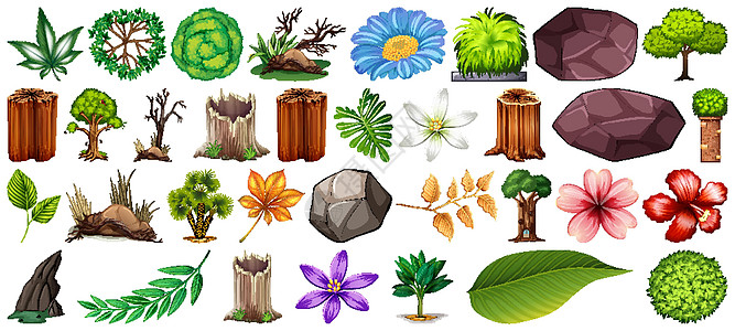 白色背景上孤立的一组不同性质风格卡通片植物树桩叶子艺术卵石岩石团体花园图片