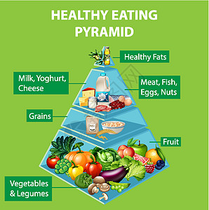 健康饮食金字塔炭科学酸奶信息学习生物谷物食物插图碳水化合物图片