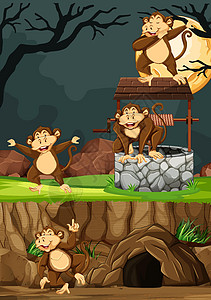 夜间背景下 野生猴子在动物公园卡通风格中摆出许多姿势图片