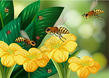 模糊背景上有许多蜜蜂和黄色花朵的特写场景图片