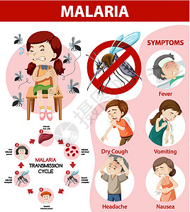 疟疾传播周期和症状信息图表标识安全蚊子保健漏洞卡通片全世界生物指示牌框架图片