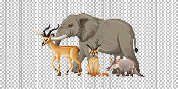 透明背景下的一群非洲野生动物环境团体鳄鱼鬣狗狮子国王收藏哺乳动物植物丛林图片