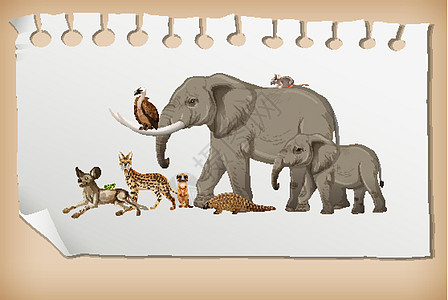 一群在 pape 上的野生非洲动物丛林环境大草原捕食者动物群植物哺乳动物荒野卡通片动物园图片