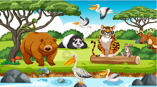 丛林中的野生动物池塘木头航班液体动物翅膀动物群场景情感插图图片
