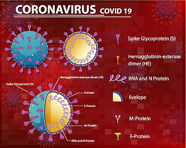 冠状病毒颗粒结构图流感卡通片信息状况绘画疾病肺炎尖刺致命粒子图片