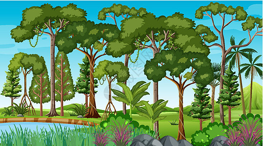 与池塘和许多树的森林场面生态土地丛林插图树木环境风景雨林木头荒野图片