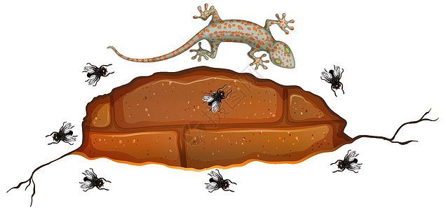 砖墙上的壁虎与卡通风格的许多苍蝇棕色生物插图动物群白色飞行收藏蜥蜴爬虫橙子图片