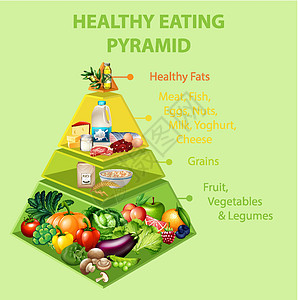 健康饮食金字塔炭生物化合物图表绘画谷物坚果插图动物牛奶备择图片