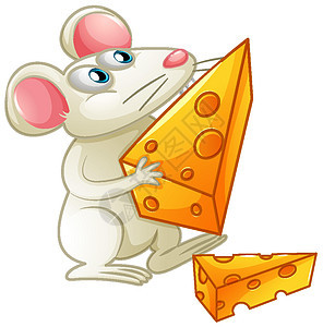 白色背景上吃奶酪的白老鼠图片