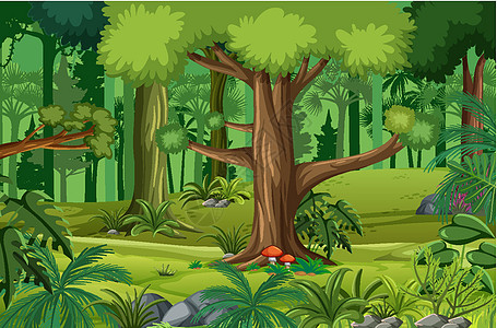 有许多树的森林场景卡通片木头冒险水平树木热带丛林风景绿色环境图片