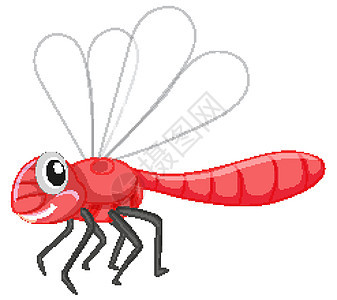 白色背景上红色的可爱蜻蜓图片