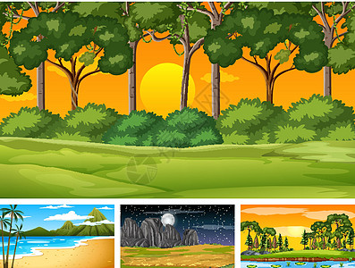 自然公园和森林的四个不同场景风景棕榈收藏天空横幅团体夹子观光艺术日落图片
