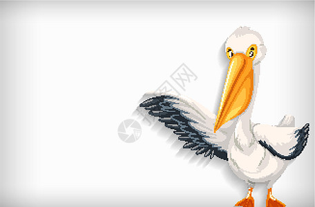 具有纯色和鹈鹕比尔的背景模板翅膀生物航班飞行空白插图环境绘画野生动物动物图片