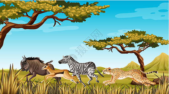 奔跑在自然界的野生动物植物慢跑活动角马猎豹动物斑马场景环境羚羊图片