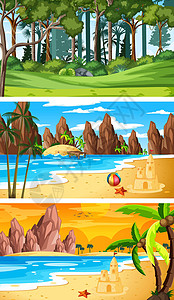 三个不同性质的横向场景棕榈团体环境日落海洋天空风景自然丛林海滩图片