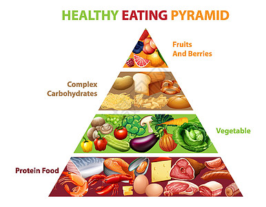 健康饮食金字塔炭方案教育图表肥胖海鲜生物面包备择水果动物图片