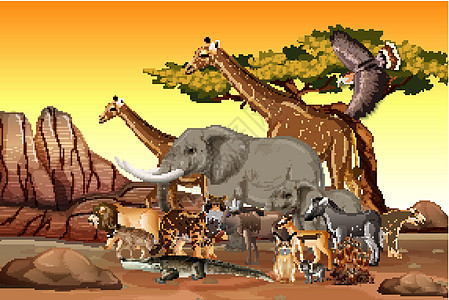 森林场景中的非洲野生动物群生活鬣狗动物园环境动物群团体斑马食肉哺乳动物野生动物图片