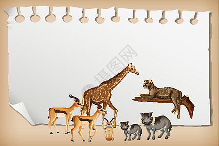 带有野生非洲动物的空纸横幅插图动物群大草原卡通片哺乳动物指示牌环境动物园捕食者绘画图片