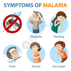 疟疾卡通风格的症状病人发烧艺术图表指示牌学习干咳绘画框架伊蚊图片